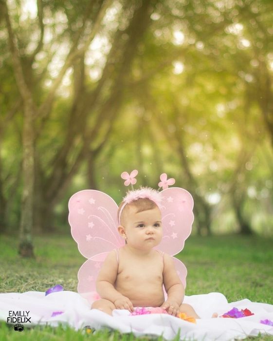 Набор в виде  бабочки