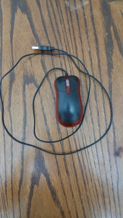 Мышь компьютерная