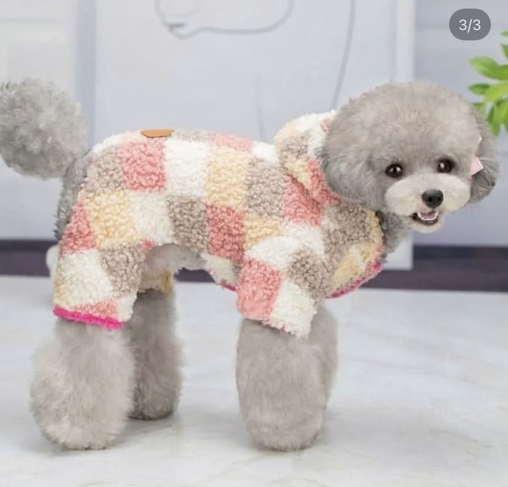 одежда для животных