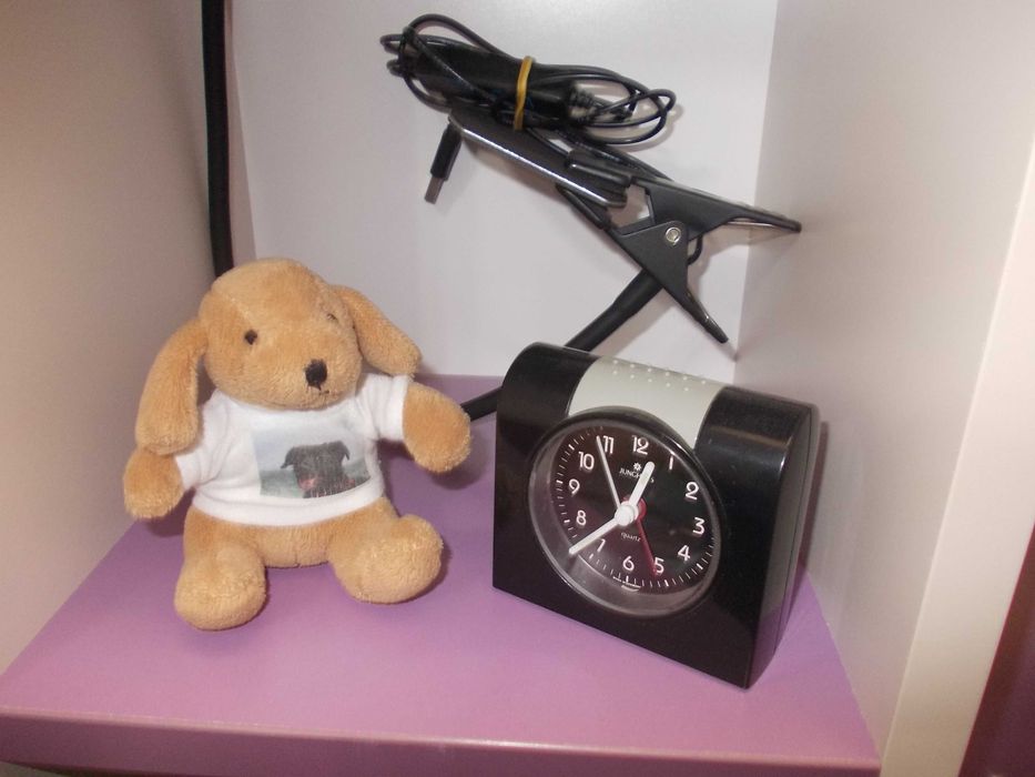 Nikon CoolPix L23    10.1 Мрх