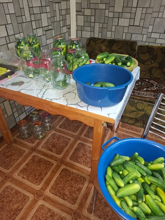 Заготовки на зиму