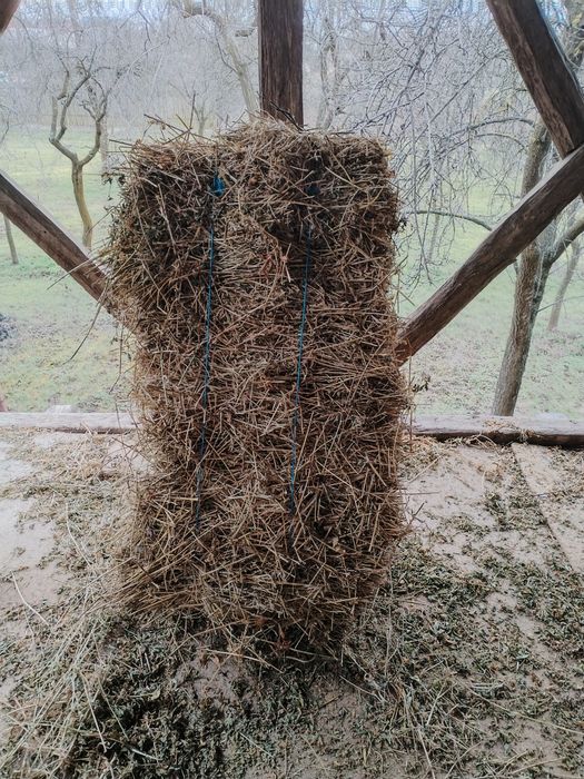 Vând baloți de lucernă si fân