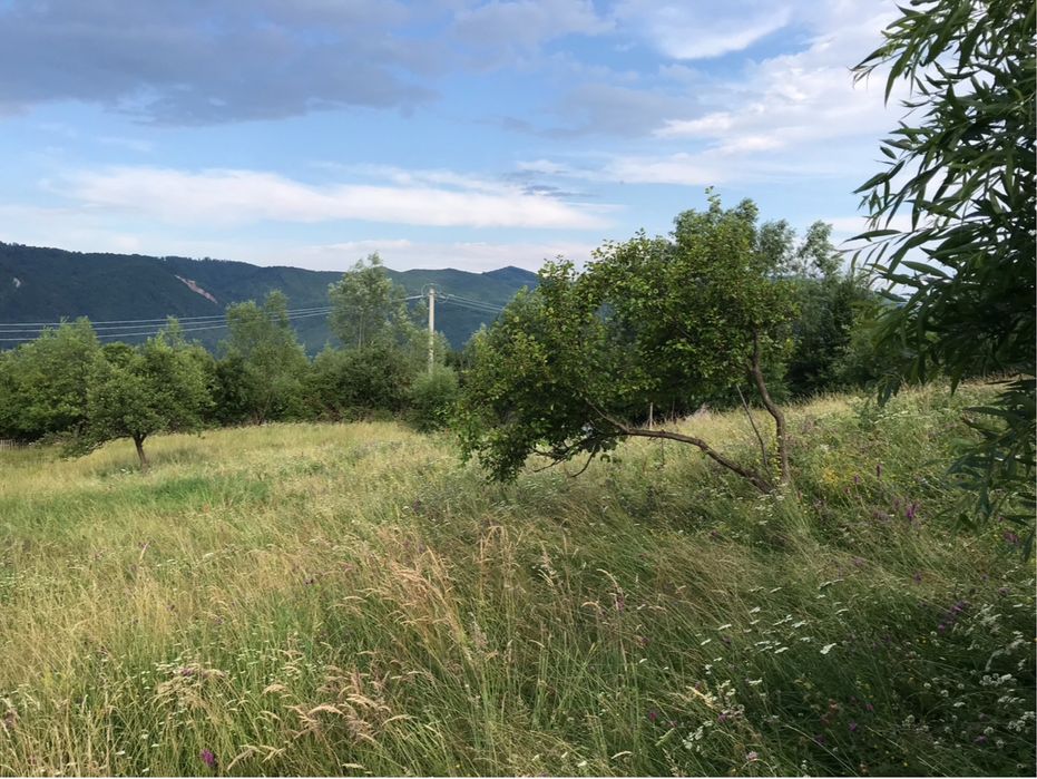 Vand/schimb 1 hectar Nucsoara Arges