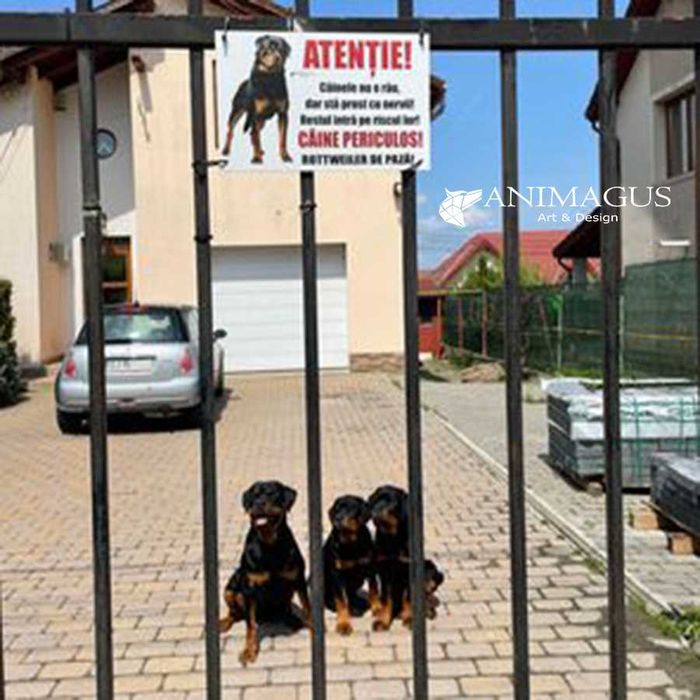 Placa Avertizare Caine Rau Periculos Rottweiler