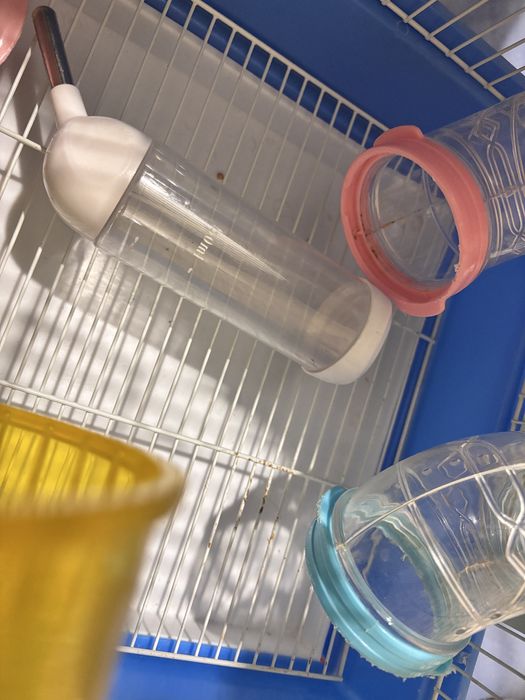 Set complet pentru hamster – cușcă + accesorii + hrană + așternut