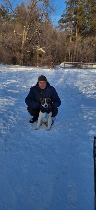 Отдам бесплатно в добрые руки