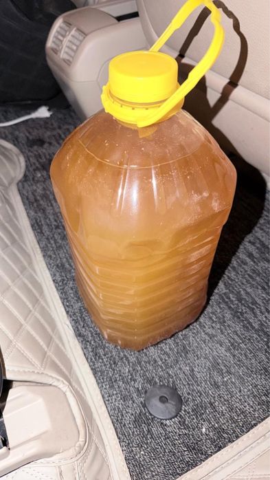Продается луговой мед