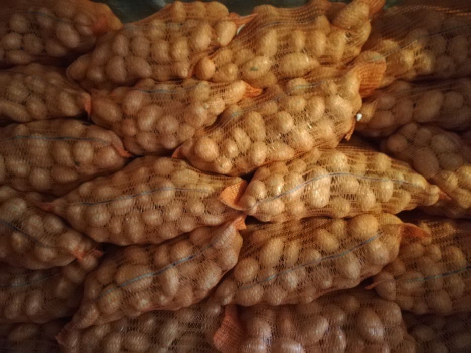 Vând cartofi de sămânță