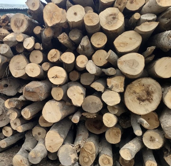 Lemn de foc EN GROSS la nivel de tir