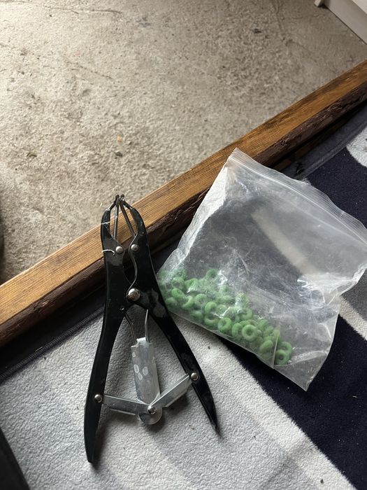 Клещи для животных