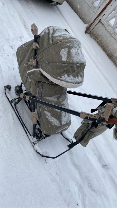 Санки коляска Ника