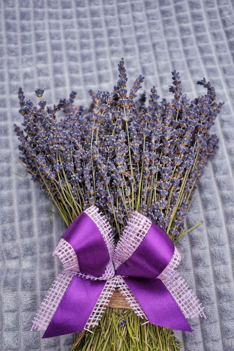 Vand lavanda buchete cu livrare