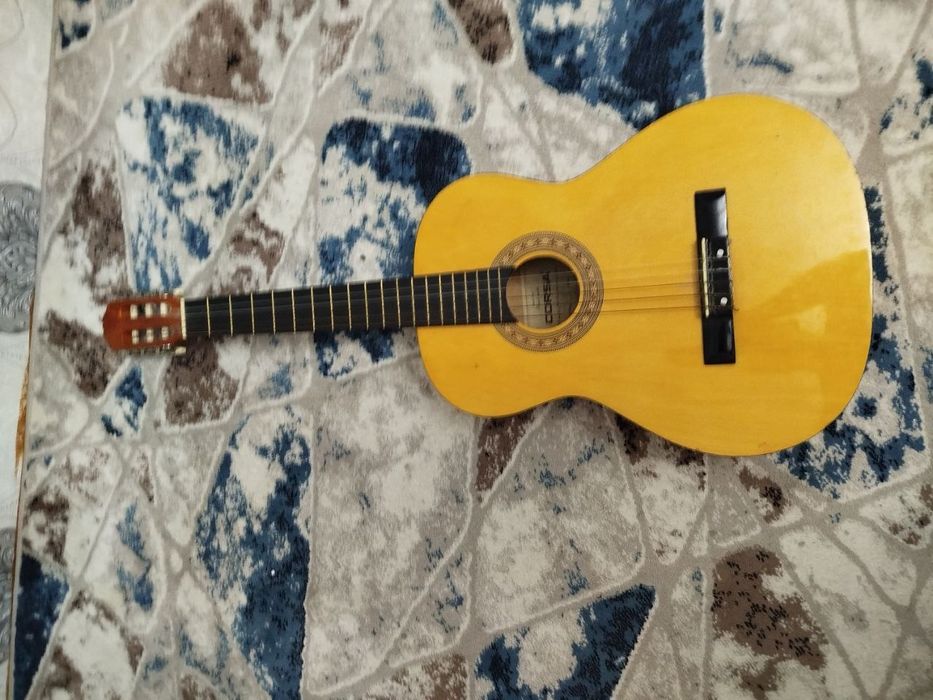 Gitara Musiqachilar uchun