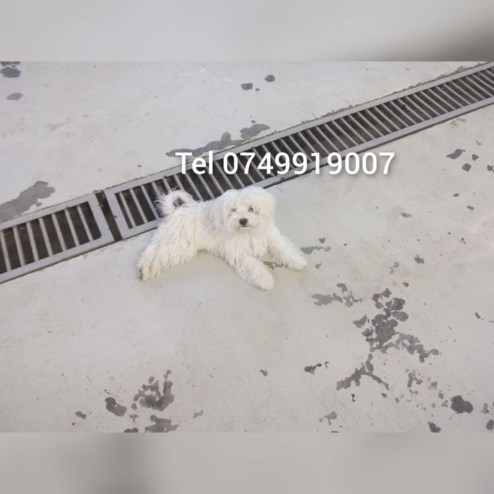 Console  Metalice oferim și servicii de montaj