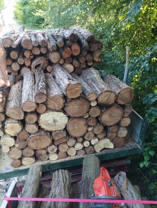 Lemn de foc fag 600 tona sau la metru ster