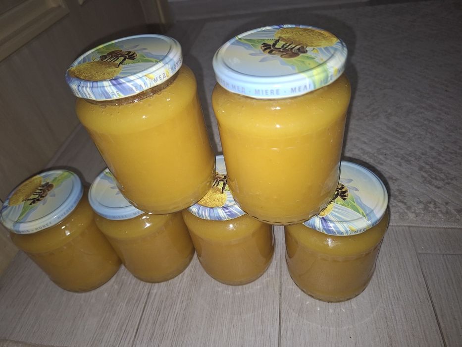 Miere Albine poliflora