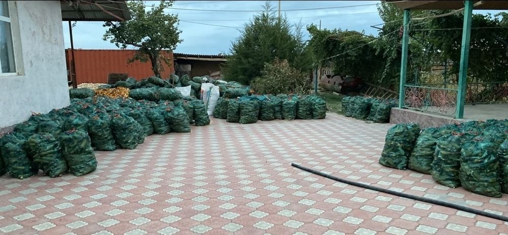 Жүгері сатылады.