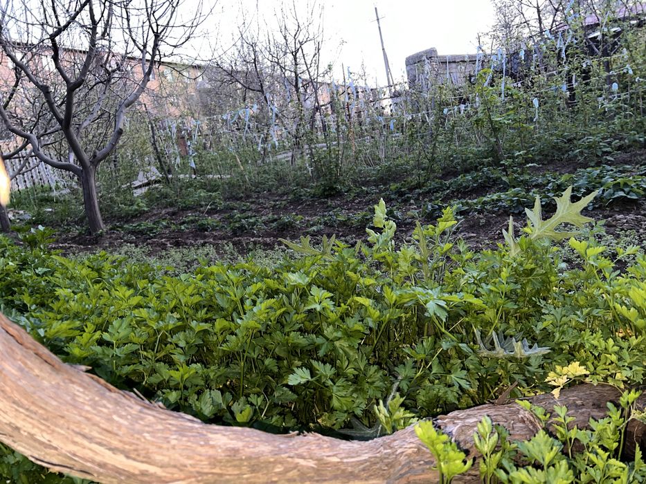 Дом Участок