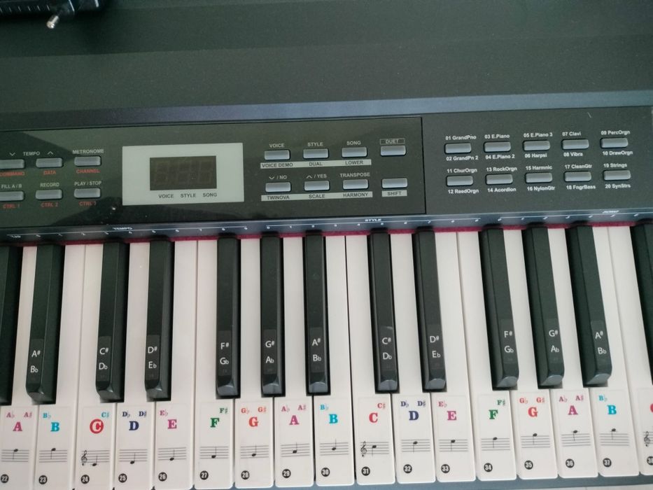 Orga digitala ThomannDP-26