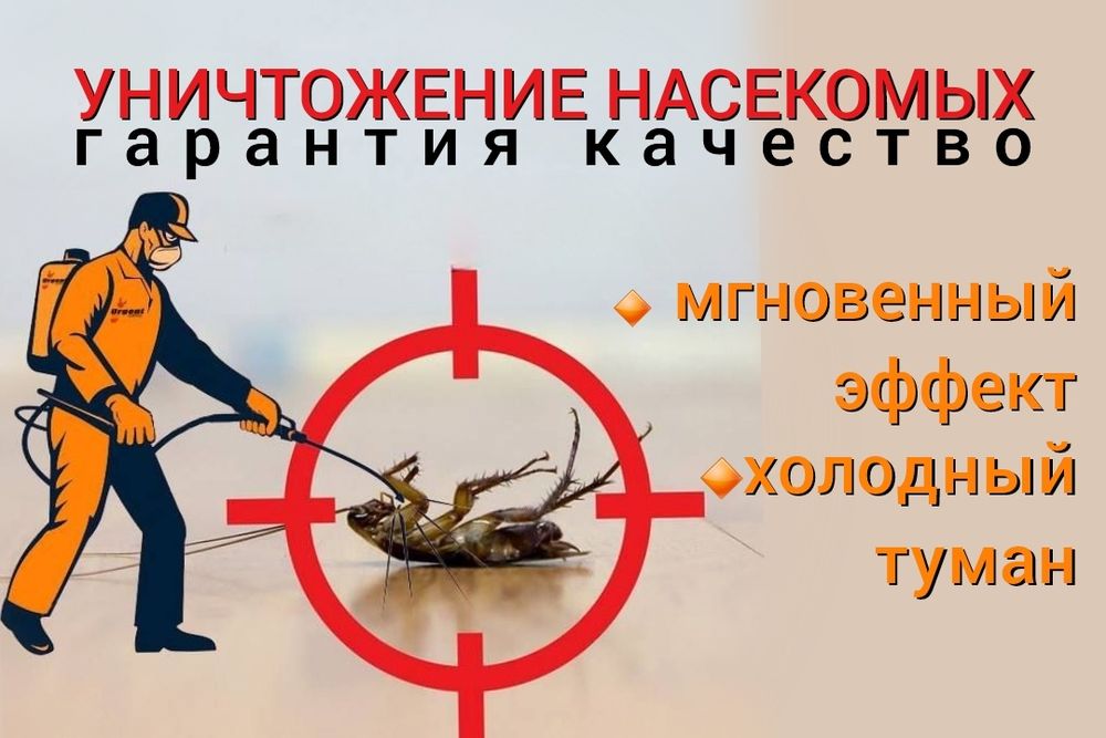 Уничтожение клопов муравьев тараканов