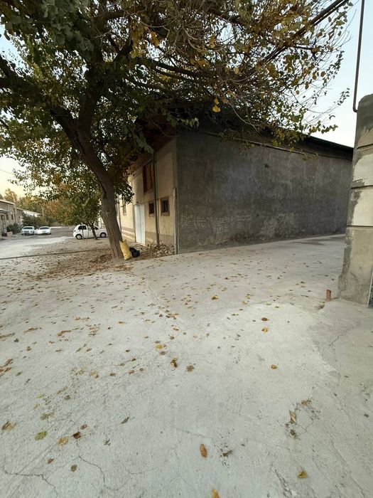 Yer sotiladi  3 - Qaxramonda