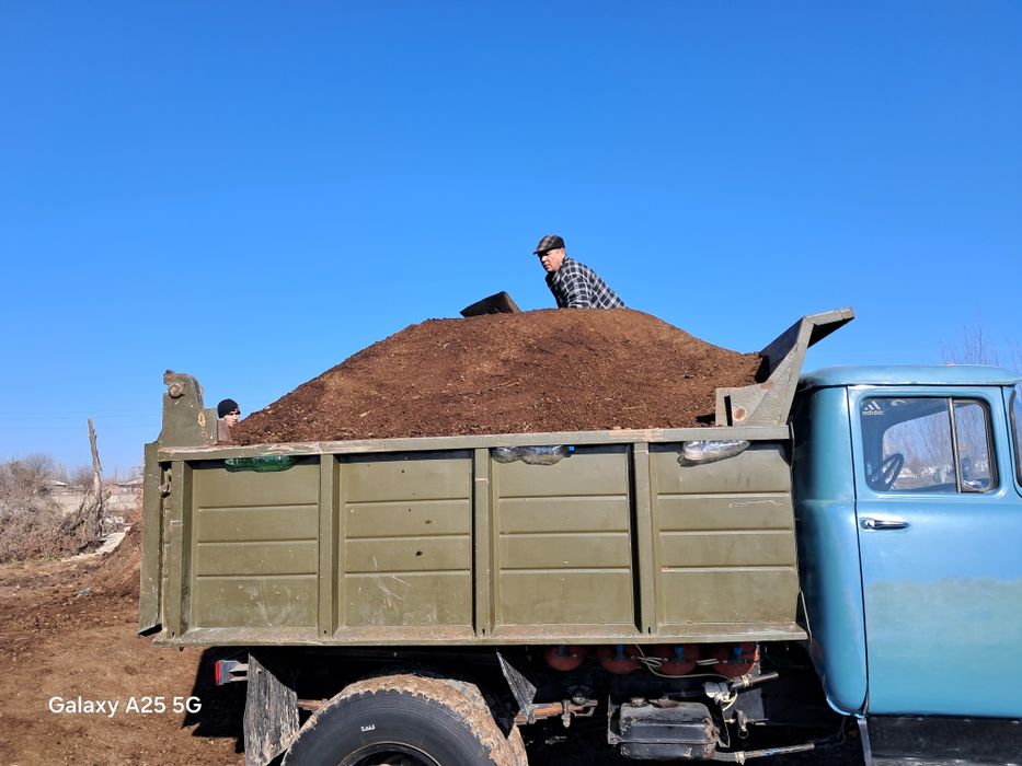 Gong bor toza rasimdagide