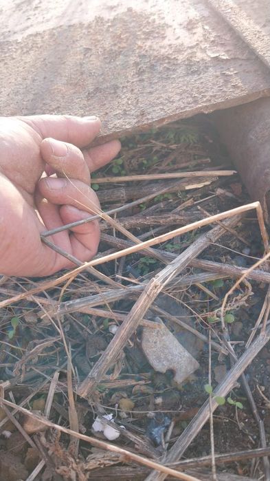 Продам лист металла