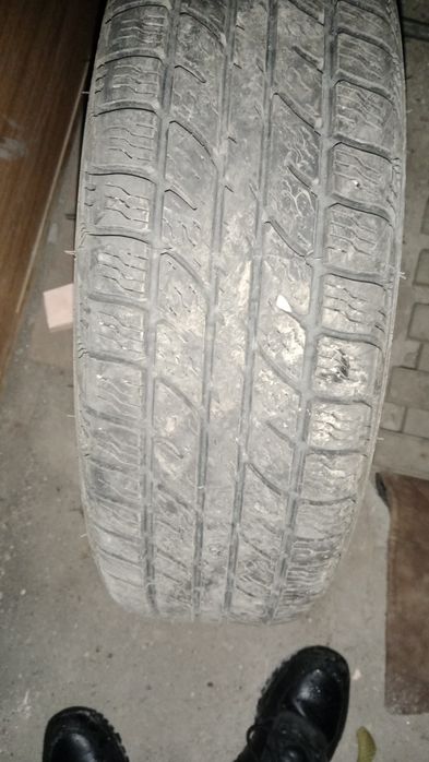 Шина всесезонка одна