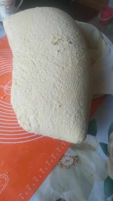 Құрт сатамын Продам курт