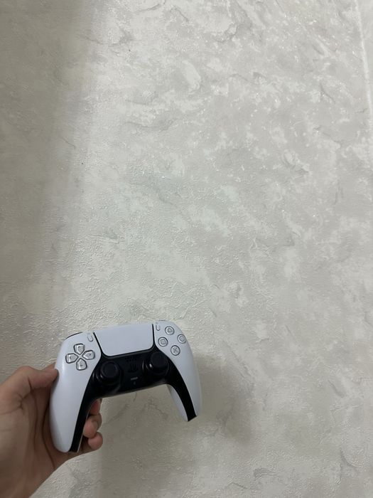 DualSense Wireless Controller на пс 5