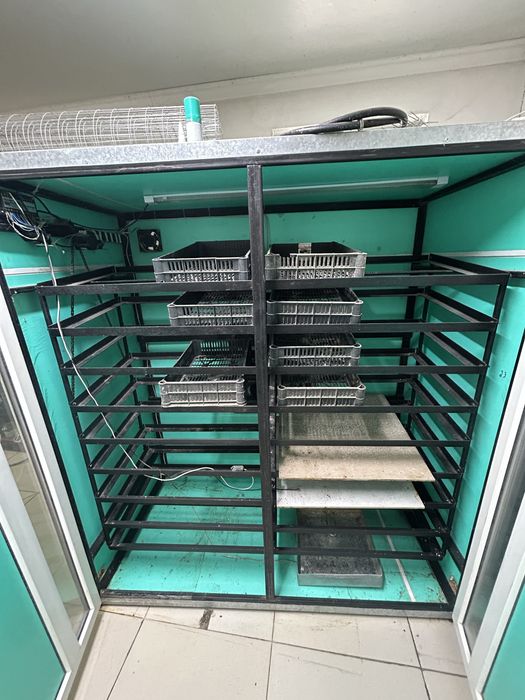 Инкубатор для яиц