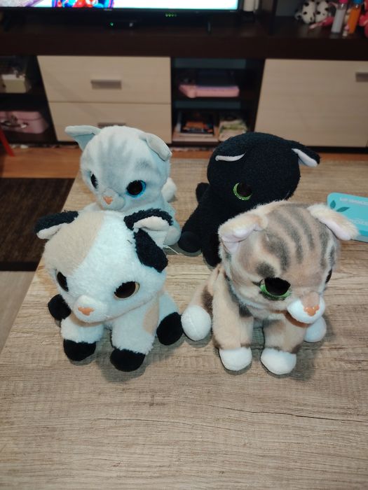 Pets alive коте изненада