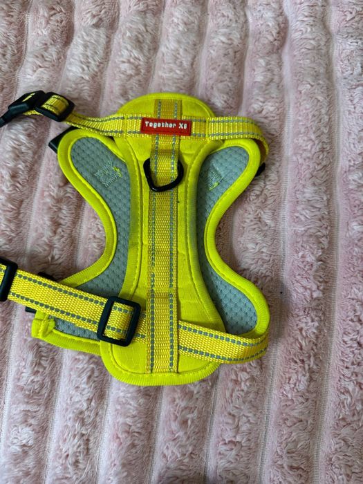 Товары для собак