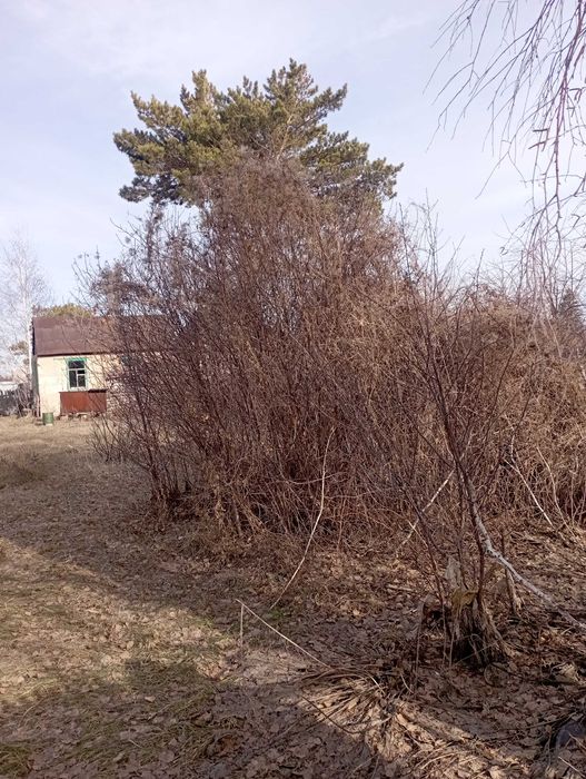 Продам хорошую дачу недорого