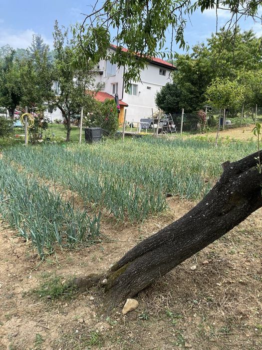 Продава се Къща в Враца, Дъбника - 26 кв.м за 1693 €/кв.м - Снимка #1