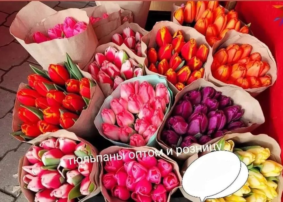 Тюльпаны в Атырау