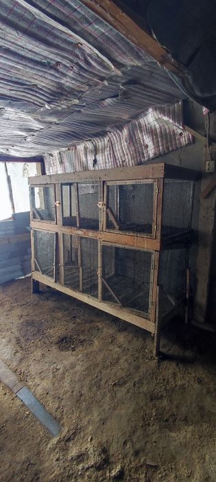 Товук куйон жужалар учун катак