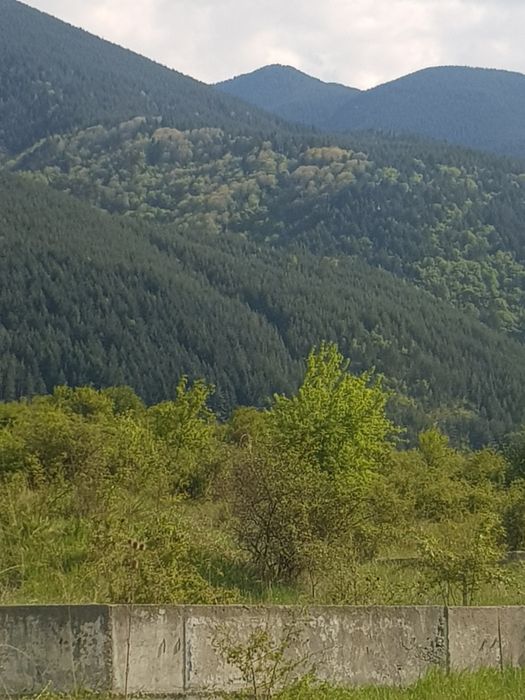 Продава парцел в гр.Сапарева баня