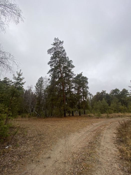 Продажа земельного участка срочно