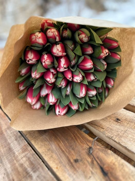 Предзаказ на ТЮЬПАНЫ