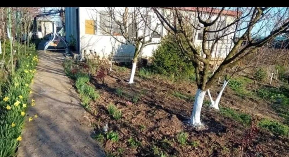 Casa 90 mp si teren 2000 mp Cotorca judet Ialomita iesire la DN2