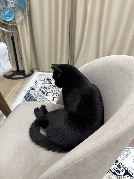 Бесплатно 10 месяц