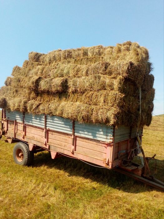 Vând baloți dreptunghiulari lucernă și paie,rotunzi