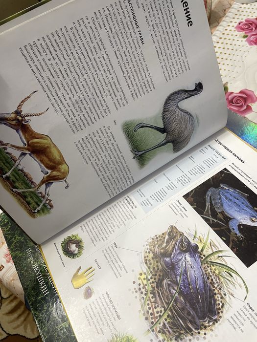 Пролам книгу «прерии и степи-животный мир»