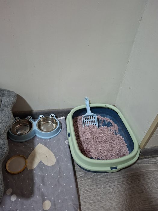 Мушукча сотилади