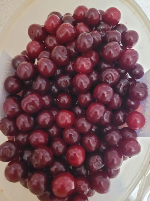 Вишня дачная крупная