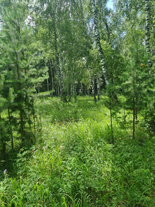 Сдам квартиру на природе