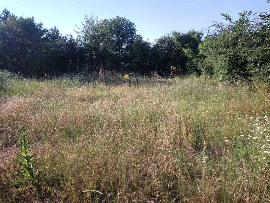 Продава се Парцел в Велики Преслав - 750 кв.м за 11 €/кв.м - Снимка #5