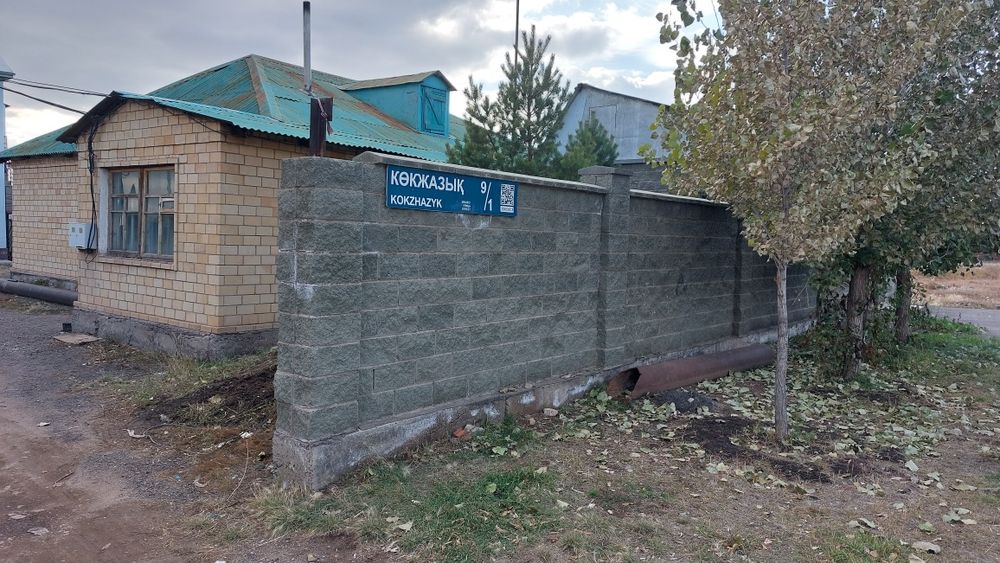 Продам Дом с бизнесом