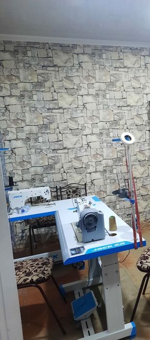 Tikuv moshuna Jek f5